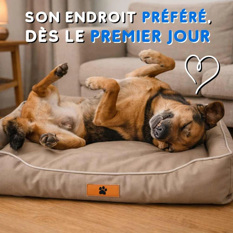 Coussin Indestructible pour Chien marron