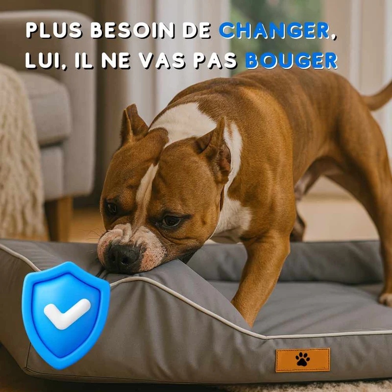 Coussin Indestructible pour Chien gris