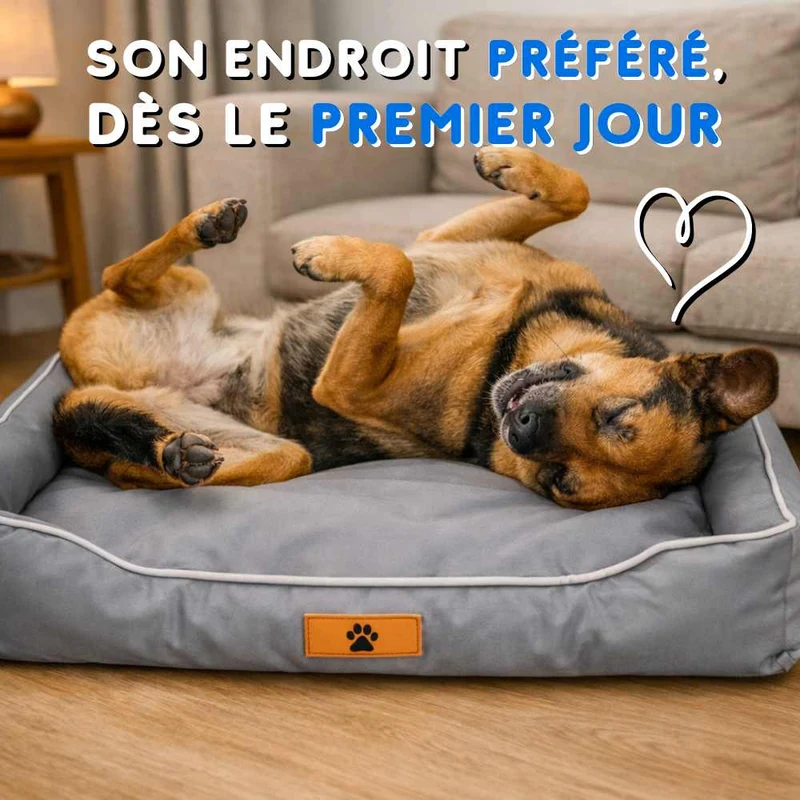 Coussin Indestructible pour Chien gris