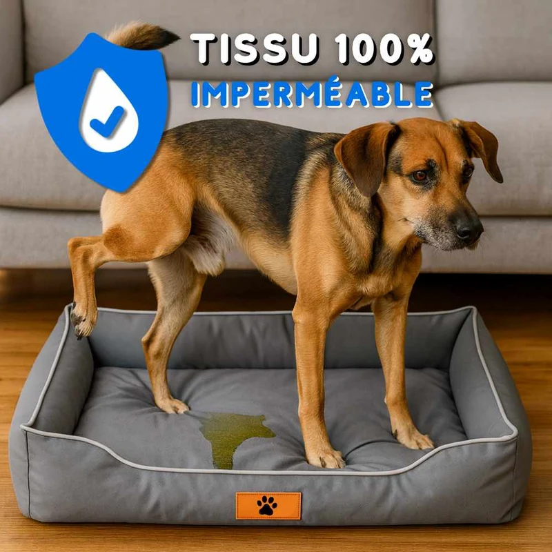 Coussin Indestructible pour Chien gris