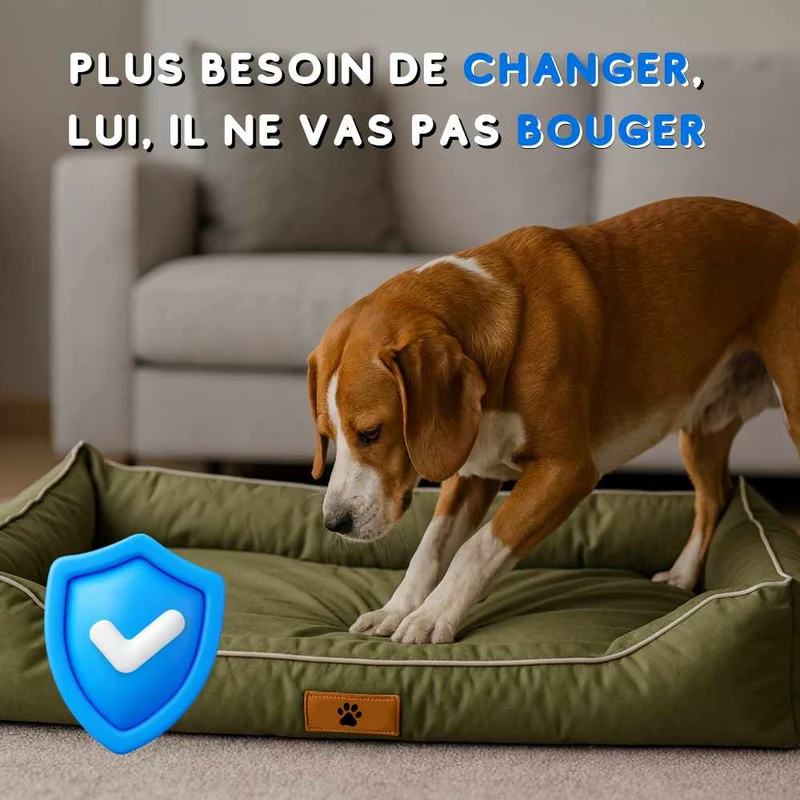 Coussin Indestructible pour Chien vert