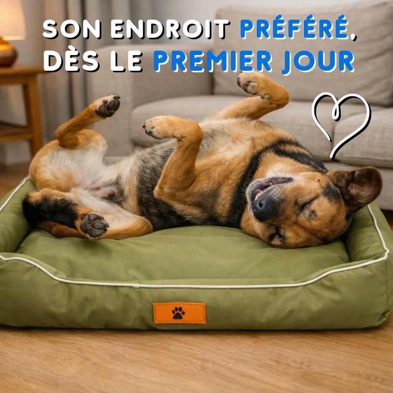 Coussin Indestructible pour Chien vert