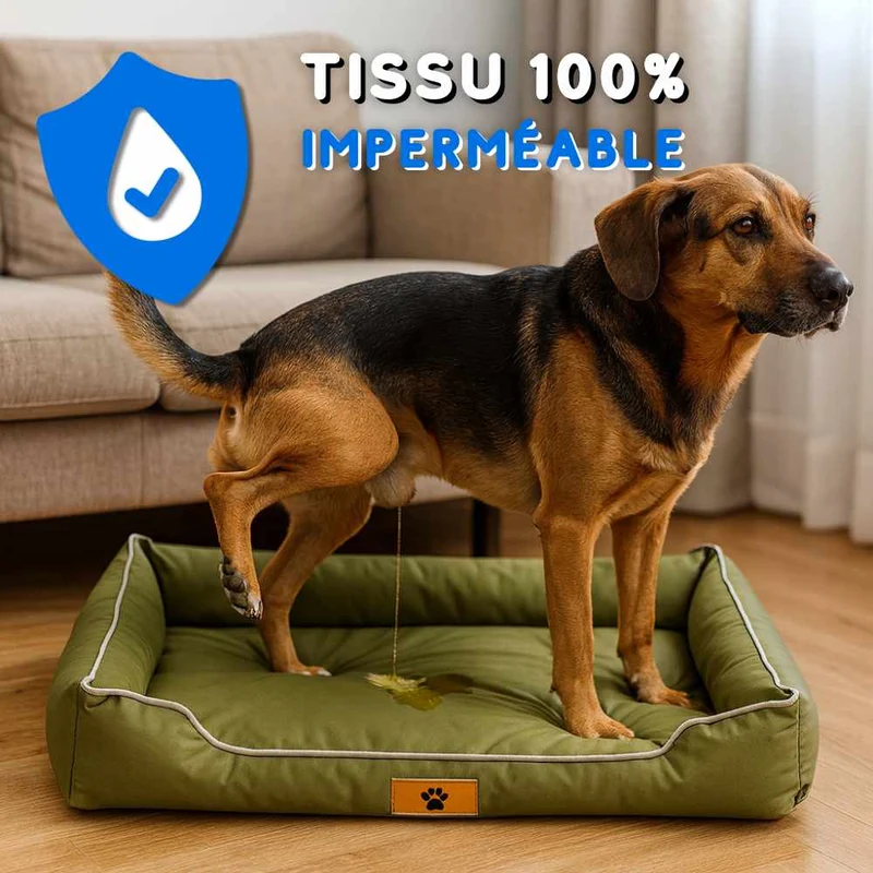Coussin Indestructible pour Chien vert