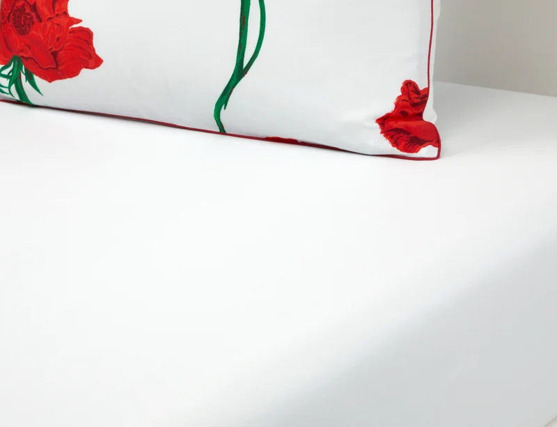 Drap housse Satin de coton - K ROSES
