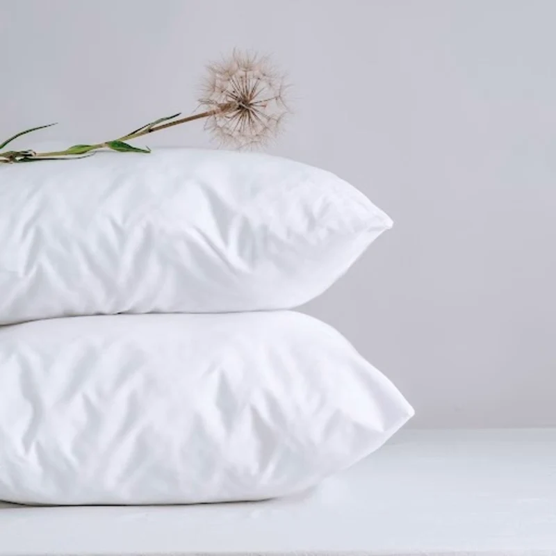 Protège oreiller - Molleton Coton Bio
