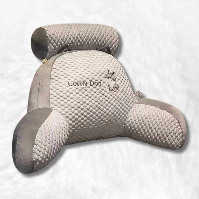 Coussin de Lecture Confort Chien !