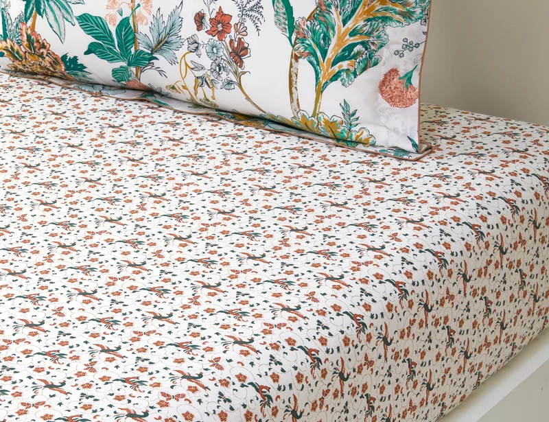 GOLESTAN - Percale de coton