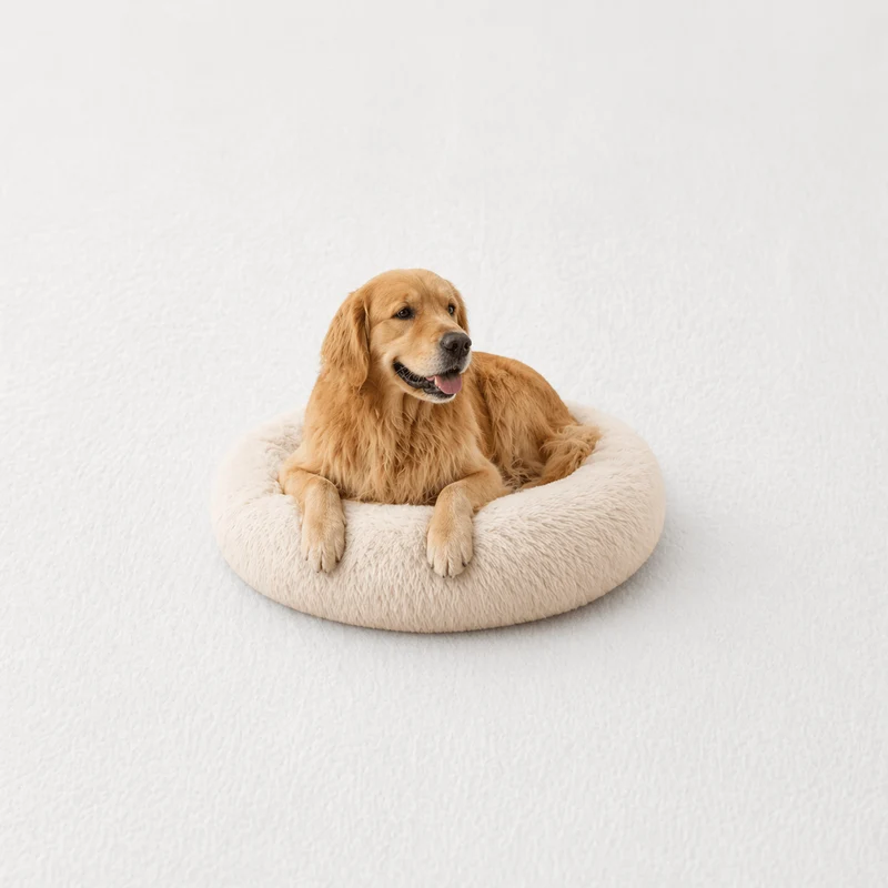 Coussin Anti-stress pour Chien Crème !