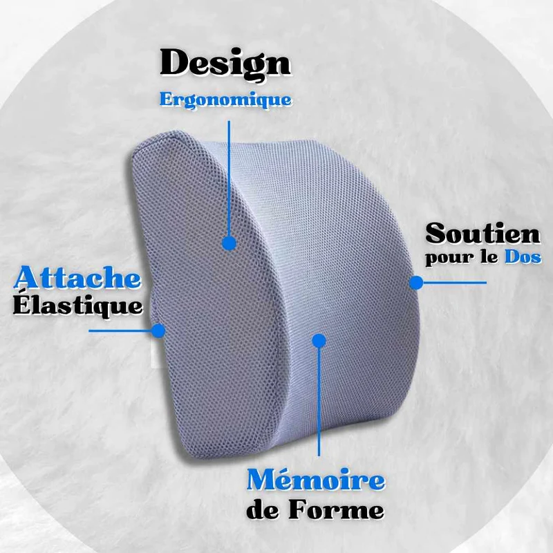 Coussin Lombaire pour Voiture Gris !