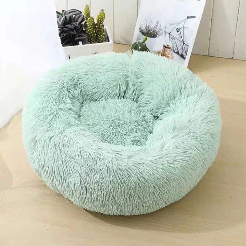Coussin Anti-stress pour Chien Vert Pastel !