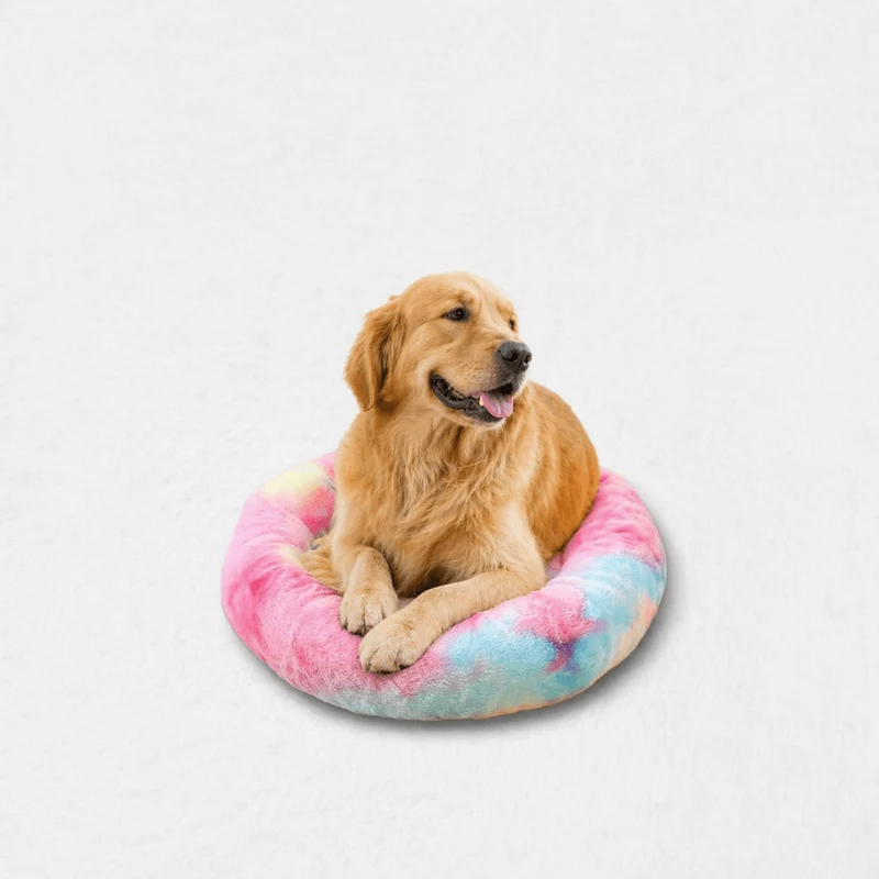 Coussin Anti-stress pour Chien Multicolore !