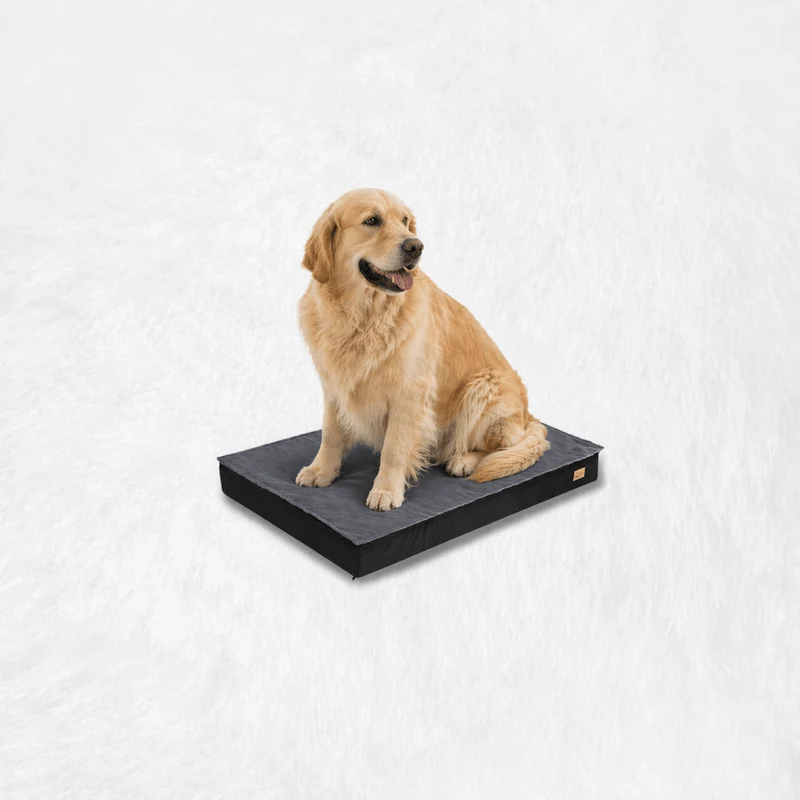 Coussin pour Chien XXL Déhoussable !