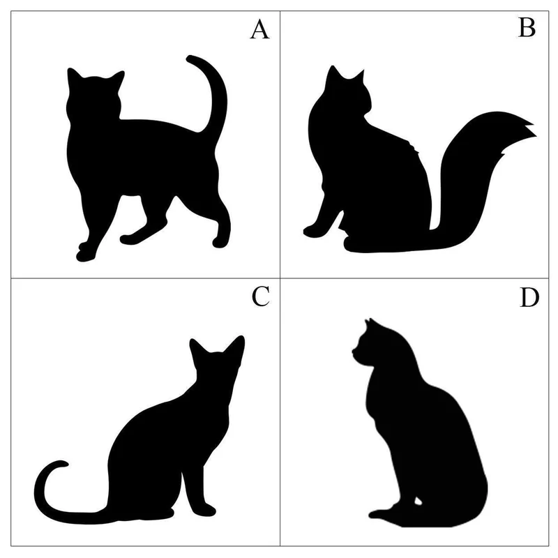 Cat Silhouette Personalized Throw Pillow