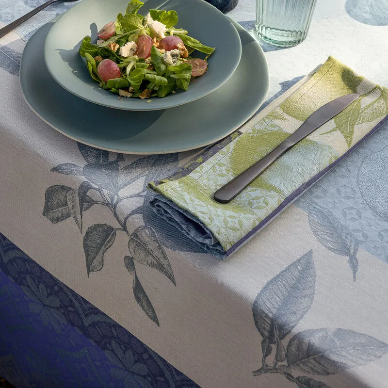 Nappe Enduite Coton - ARRIERE PAYS Cassis