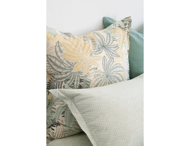 Taie d'oreiller Percale de coton - PAILLOTTE