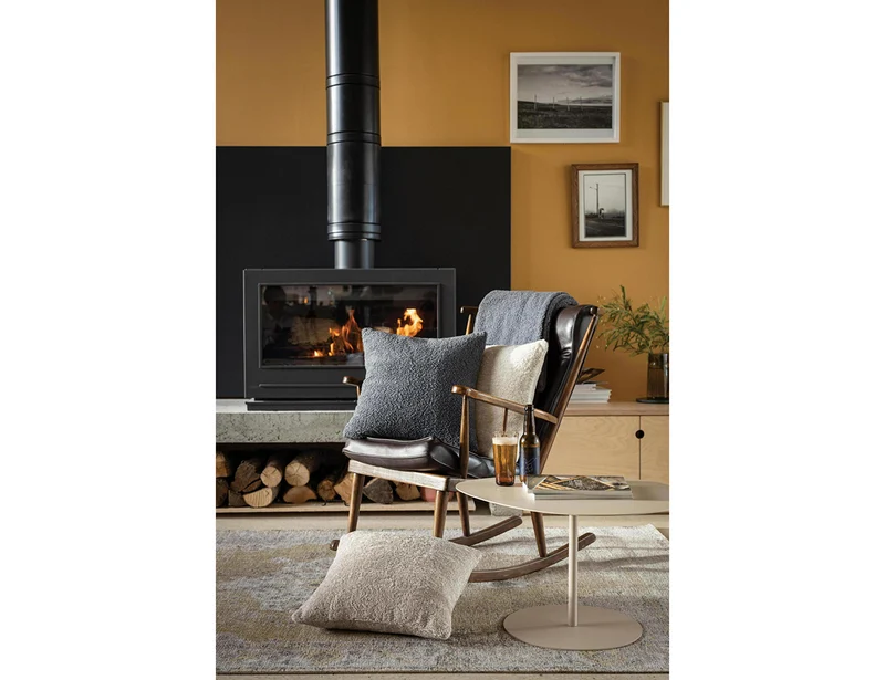 Coussin Polyester - BARRY Carbonne