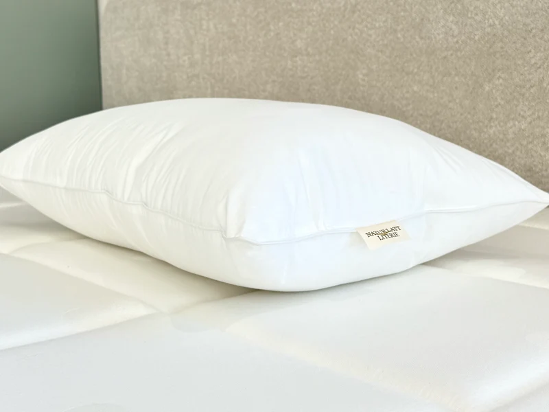 Lot de 2 Oreillers Luneo