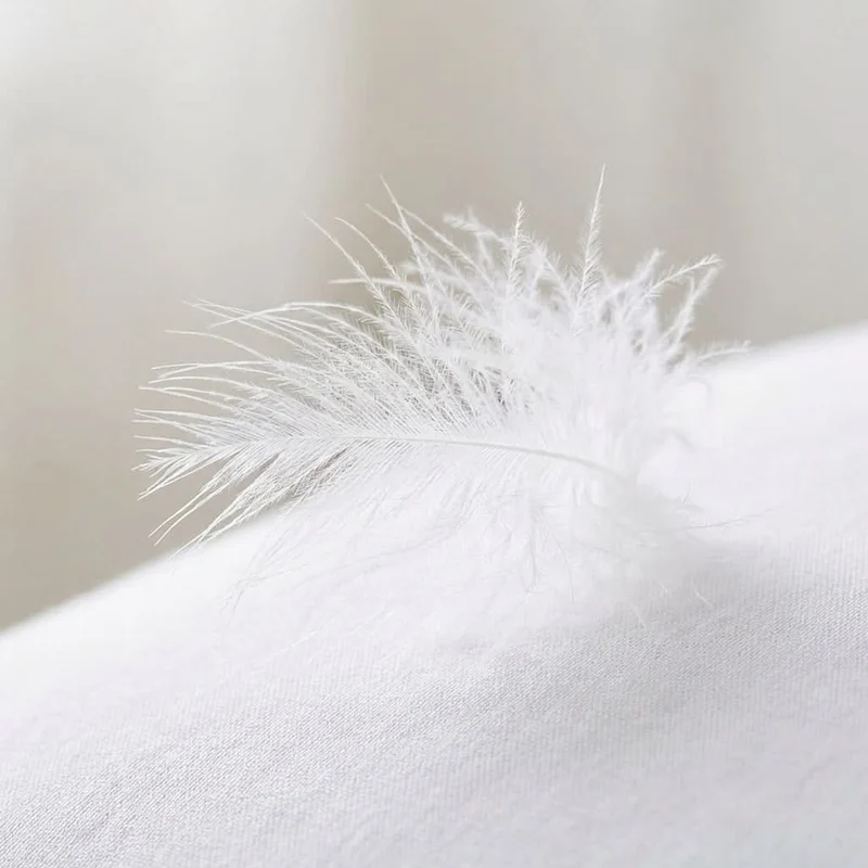 Oreiller 100% duvet d'oie