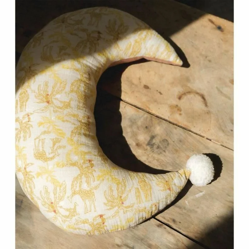 Coussin Domiva Lisse