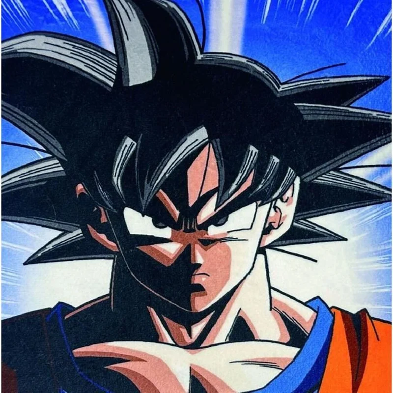 Coussin Dragon Ball Multicouleur Polyester Imprimé Enfant