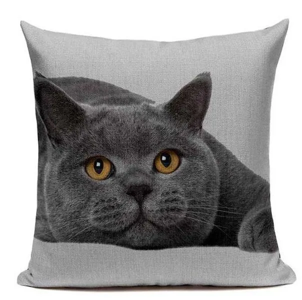 Coussin Motif Chat