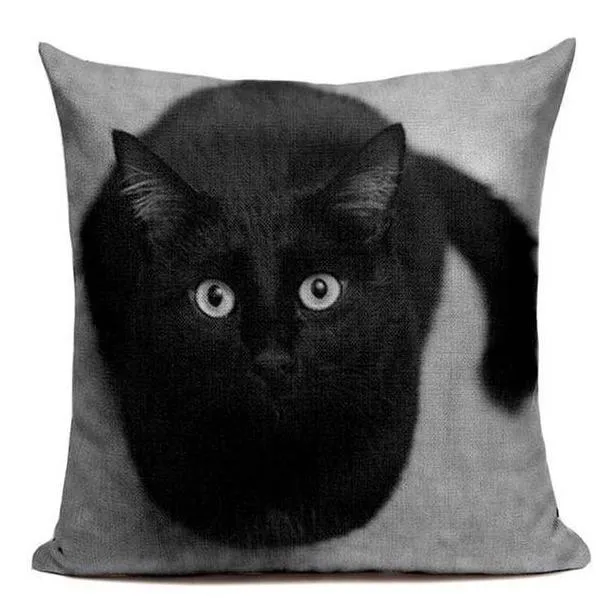 Coussin Avec Chat