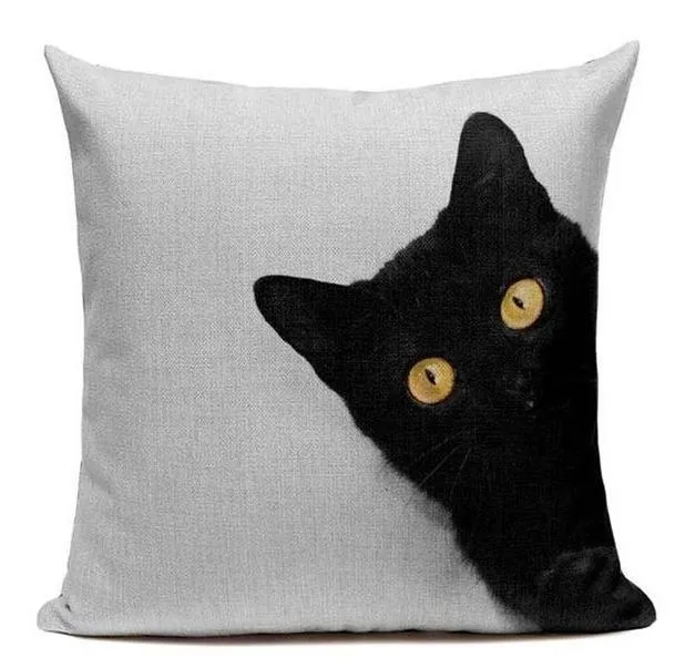 Coussin Chat Noir