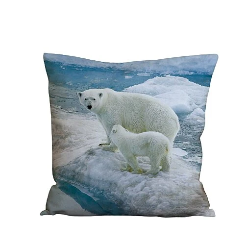 Coussin Avec Ours Polaire